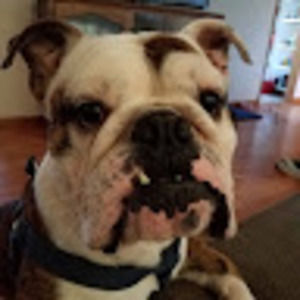 Meet your Posher, Christen